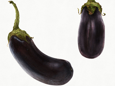 Two Black Aubergines