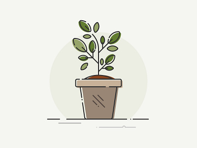 Olive Tree design flat illustration plant potted plant vector