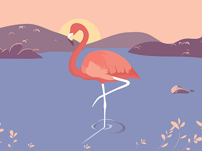 Flamingo animal flamingo