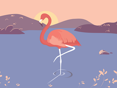 Flamingo