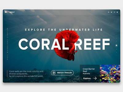 Coral Reef Landing Page Design Concept landingpage ui design uiux webdesign