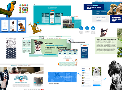 Moodboard82 brand branding fun inspiration moodboard pet process web design website