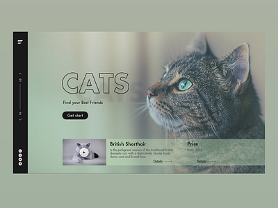 Сатs Homepage Concept animals cats concept homepage landing ui ux webdesign website