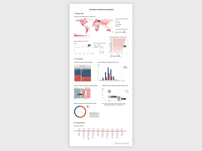 Overview of Women in Parliament information design