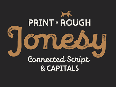 New Jonesy Latin font fontdesign lettering type typedesign typeface typography
