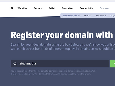 NiftyHost Domain Search