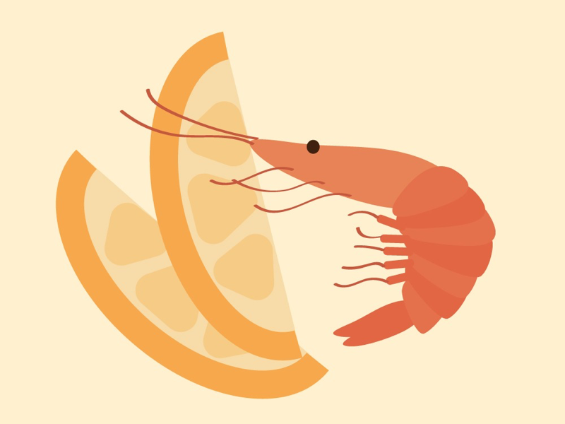 shrimp graphic illustrator illustration vector art lemon shrimp