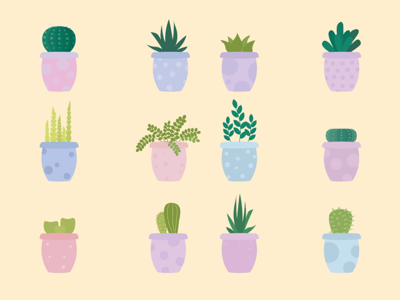 succulent pots flower illustration illustrator adobe illustrator adobe vector graphic vector artwork art cactus succulent