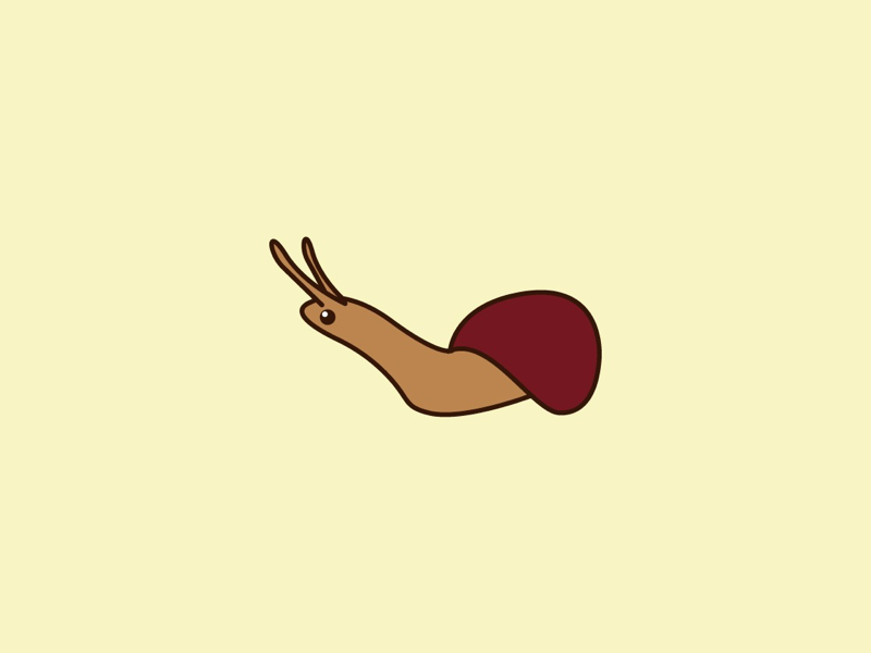 snail animal adobe illustrator adobe vector illustrator work art logo snail