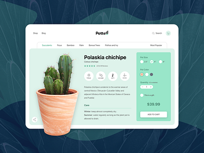 Potted - Product Page cactus clean ecommence ecommerce plants potted potted plant product page simple succulents tablet ui ux