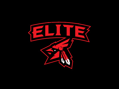 Indiana Elite Hockey Logo hockey branding hockey identity hockey logo sports branding sports hockey sports identity sports logo team logo