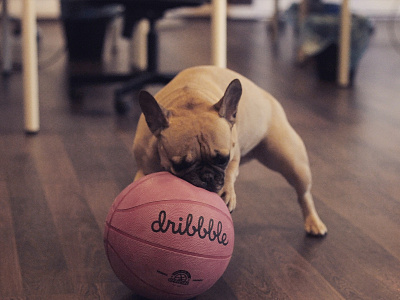 me @ work ball basketball branding bull logo bulldog design dog dribbble dribbble ball pink