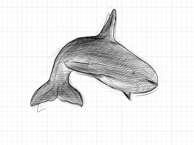 (gif*) - Orka Pencil Test c4d freebie orca pencil scribbble sea panda sketch toon
