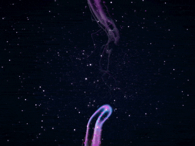 Just Keep Swimming. bubbles dark dynamics glass glass worm particles sea underwater worm
