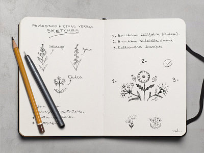 PAISAJISMO & OTRAS YERBAS - Logo Design branding concept design flores flowers gradening graphic design green illustration jardineria landscape landscaping logo native organic paisajismo plantas plants sketches yerba