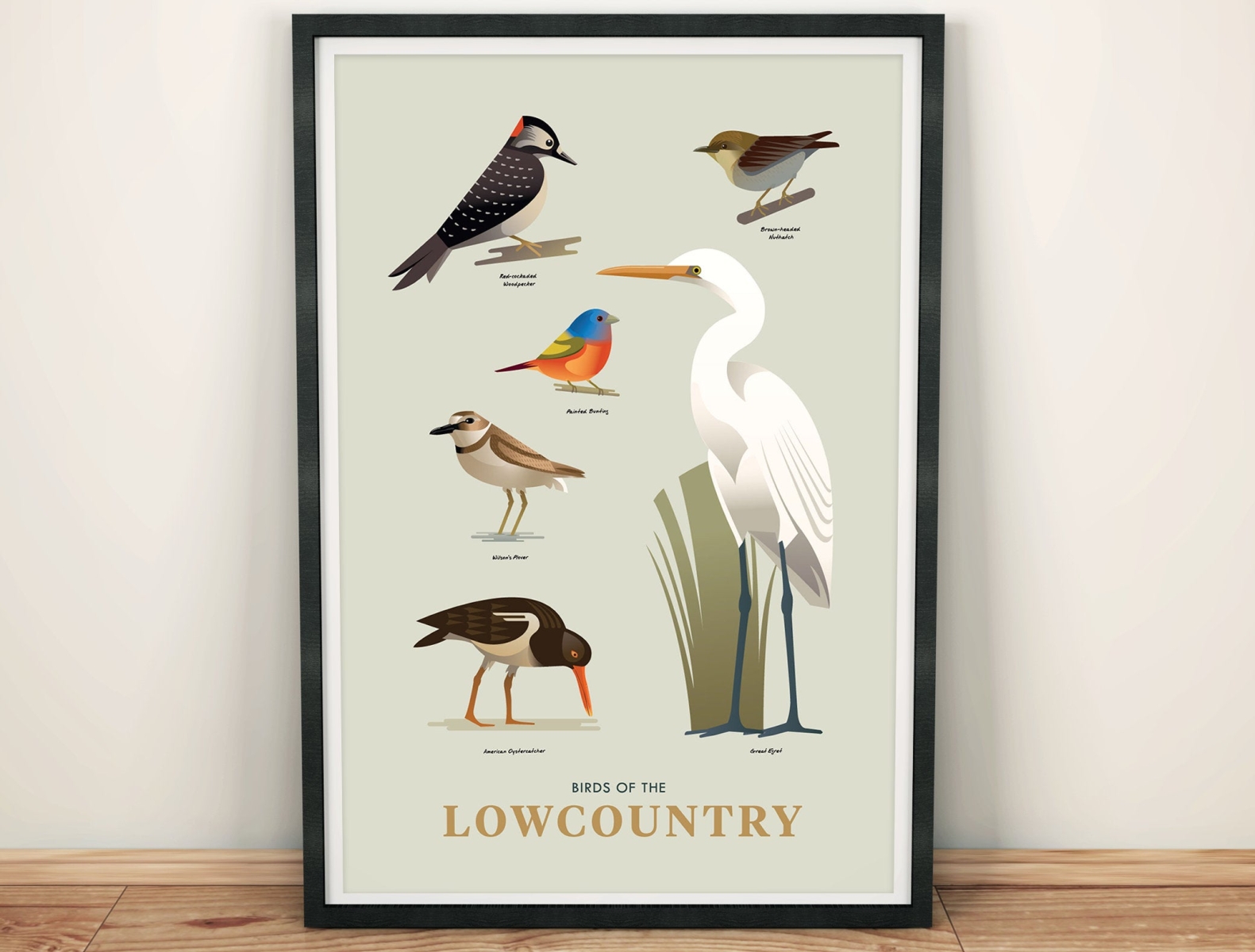Birds of the Lowcountry animals coastal egret graphic design illustration nature plover shorebird songbird stylized wildlife woodpecker