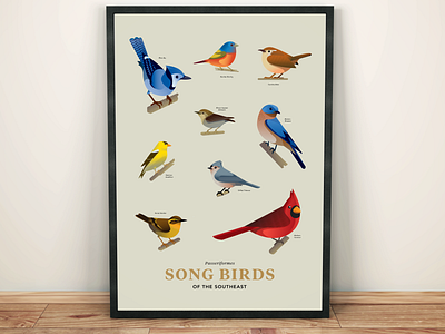 Songbirds of the Southeast birds birds of bluebird bluejay cardinal finch illustration songbirds wildlife wren