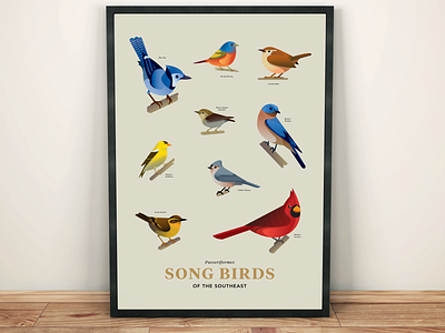 Songbirds of the Southeast