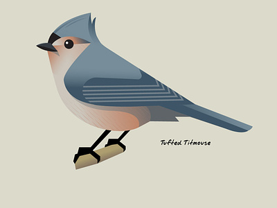 Tufted Titmouse Bird birds graphicdesign illustration simplified stylized bird vector wildlife wildlife illustration