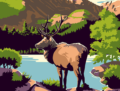 Rocky Mountain National Park illustration national park outdoors rocky mountains tourism travel travel poster vector wildlife