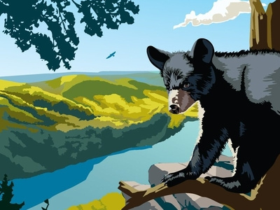 Appalachian Trail Travel Poster app trail appalachian black bear forest hiking illustration mountain view mountains national park outdoors river trail travel poster wildlife