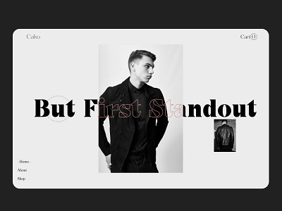 Clothing brand website concept