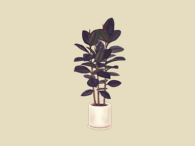 The Black Prince digital 2d graphic art illustration painting plant illustration