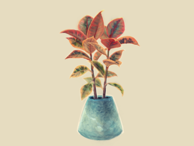 Ficus Elastica Ruby digital 2d graphic art illustration painting plant illustration