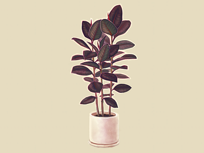 The Black Prince digital 2d illustration painting plant illustration