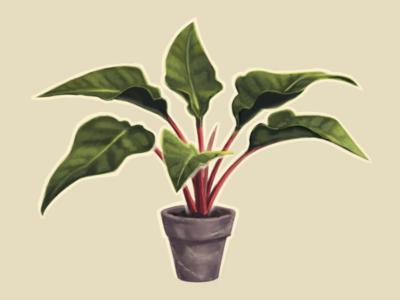 Red Philodendron digital 2d illustration painting plant illustration