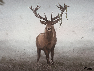 Wild Deer animal artwork deer digital art horns illustration illustrator landscape mood nature painting photoshop wild wildife