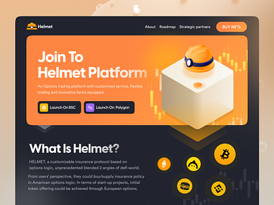 Helmet website