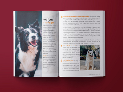 Dog Training Book Layout Design. book layout design brochure design design graphic interior layout design print design