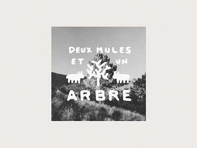 Two Mules and a Tree branding collage desert design font graphic design illustration lettering logo mule organic southwest tree trend type typeface typography
