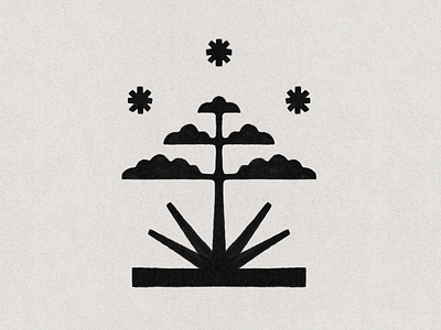 Agave Bloom under the Stars by James Coffman on Dribbble