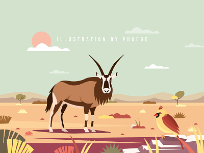 The antelope adobe illustrator design illustration