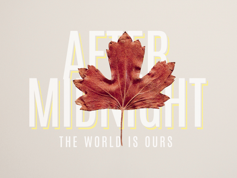 After Midnight animation leaf midnight stop motion the world is ours