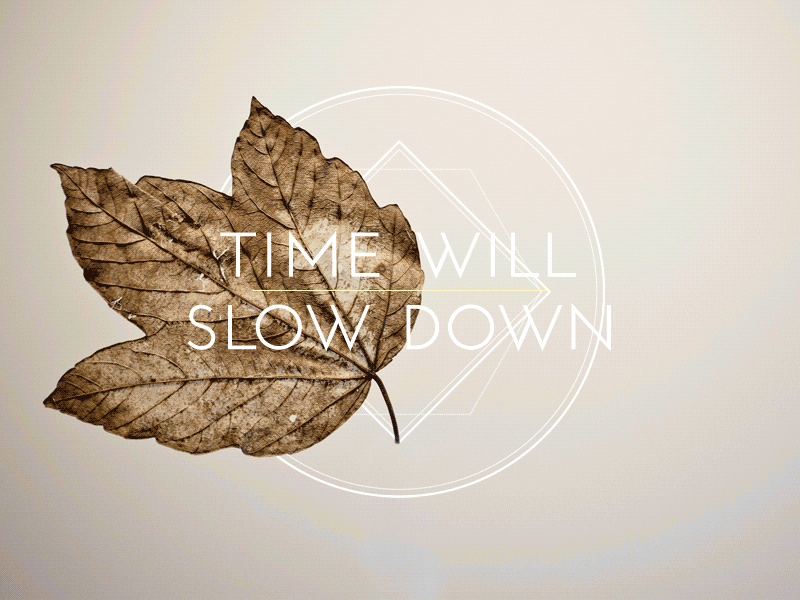 Time Will Slow Down animation leaf stop motion time