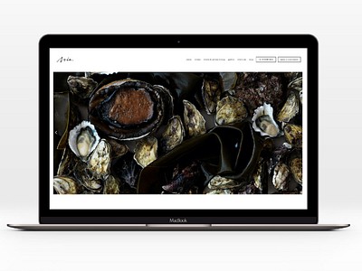 Aria Restaurants Web Redevelopment design strategy uidesign uxdesign webdesign