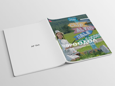 Dreamcamp book 1 book cover branding mockup