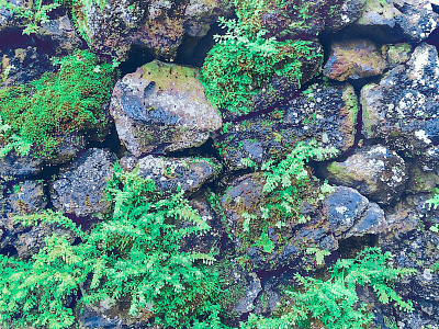 Hawaiian Rocks Photo Treatment