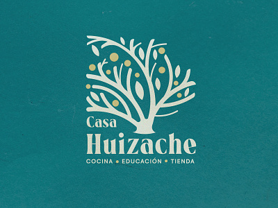 Casa Huizache branding design illustration logo natural vector