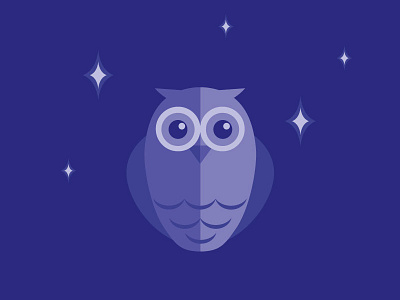 Night Owl hoot night owl