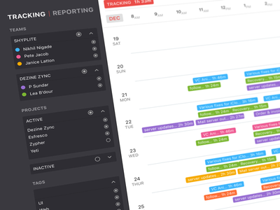Zypher - Tracking & Reporting colours company filter organization reporting sort tabs team time tracking