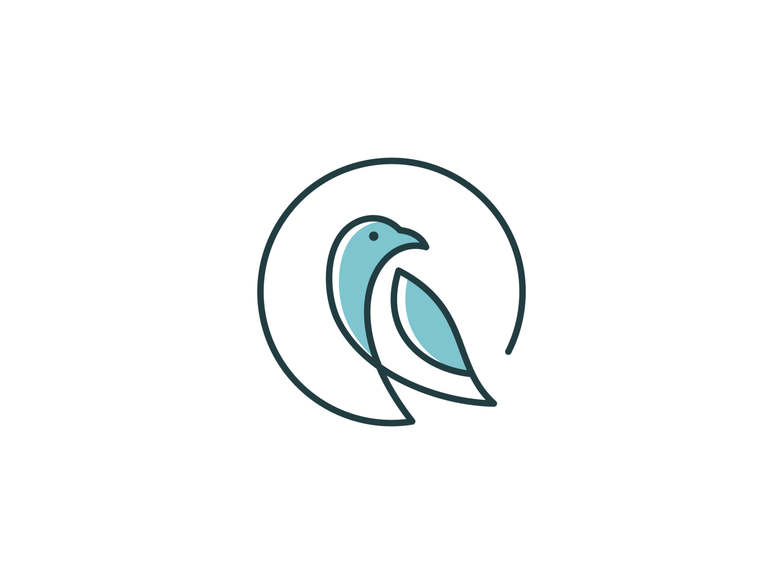 bird-logo-design-by-genetypeco-on-dribbble