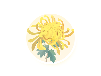 Chrysanthemum design illustration ui