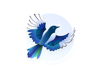 Magpie design icon illustration ui