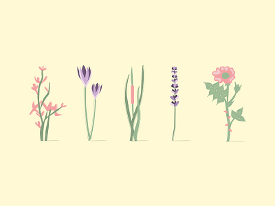 Flora flat flora floral flowers herbs illustration pastels vector