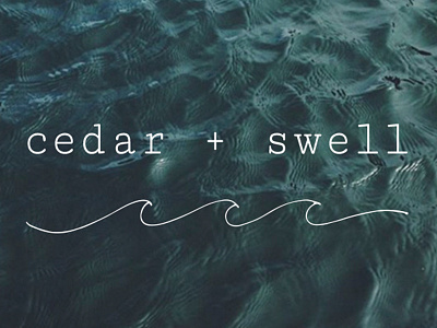 cedar + swell hand drawn logo logo mark logotype type water waves