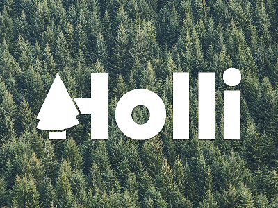 Holli logo branding logo